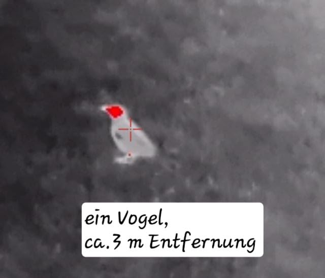 Überraschend gut