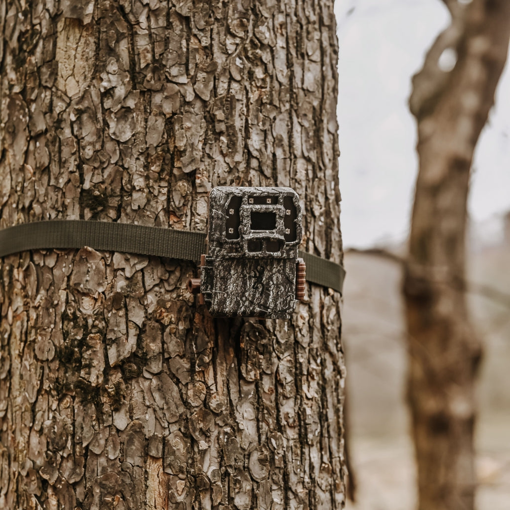 browning-trail-cameras-strike-force-pro-dcl-nano-wildkamera-dual-lens image 4