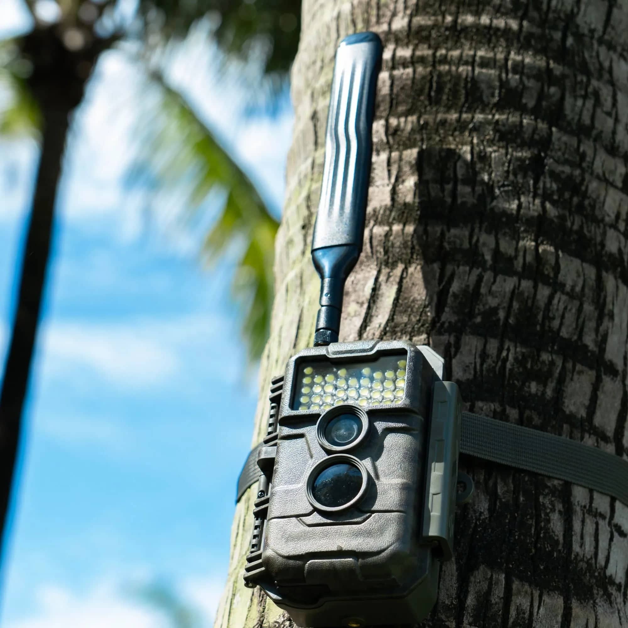 gardepro-x20wf-cellular-wildkamera-mit-solarpanel-wei-blitz image 6
