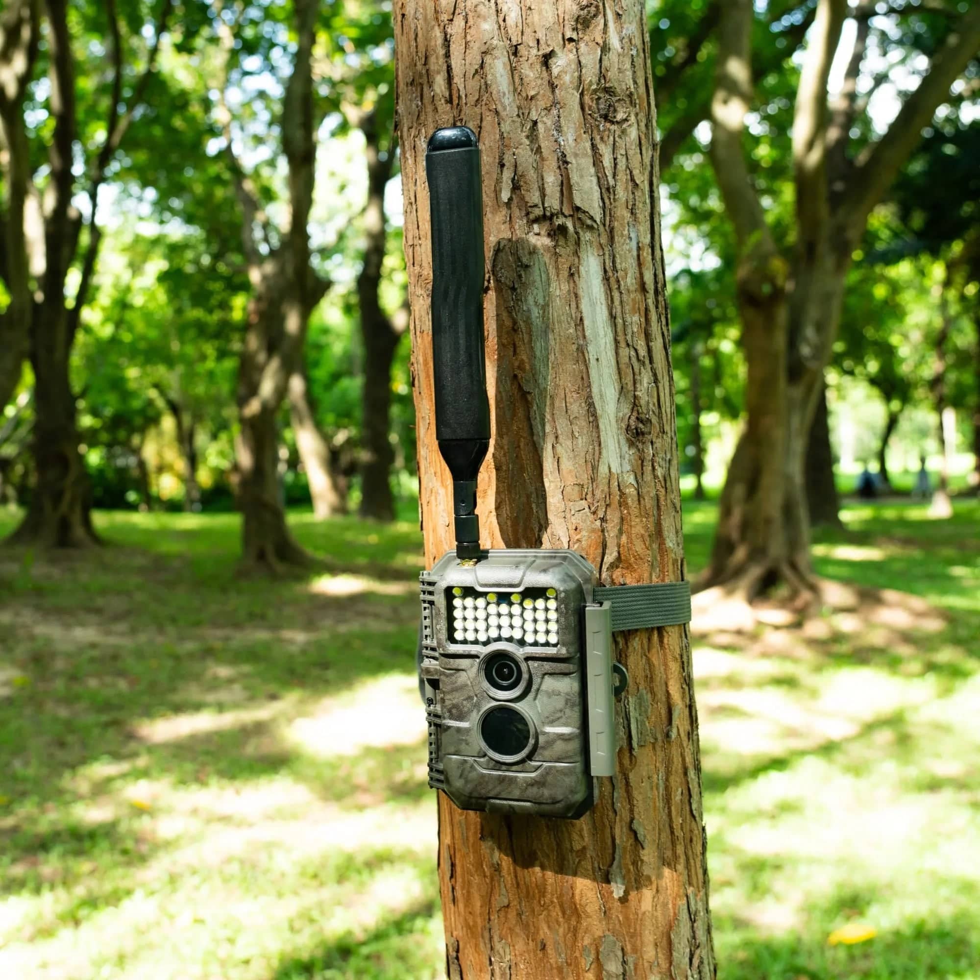 gardepro-x20wf-cellular-wildkamera-mit-solarpanel-wei-blitz image 4