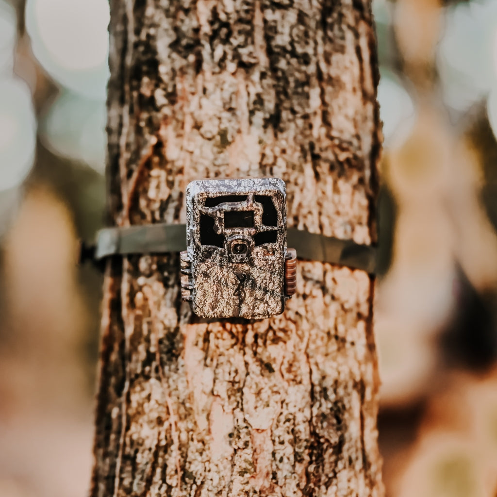browning-trail-cameras-dark-ops-pro-x-1080-wildkamera-blackout image 4