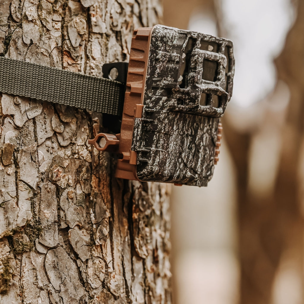 browning-trail-cameras-strike-force-pro-dcl-nano-wildkamera-dual-lens image 2
