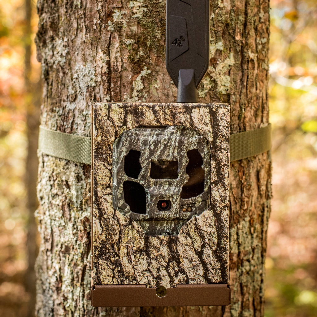 browning-trail-cameras-defender-pro-scout-max-hd-ai-cellular-wildkamera-46mp image 2