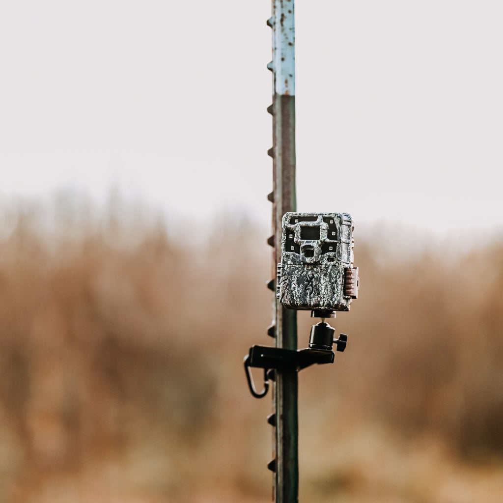 browning-strike-force-pro-x-1080-wildkamera-24mp-mit-1-5-display image 6