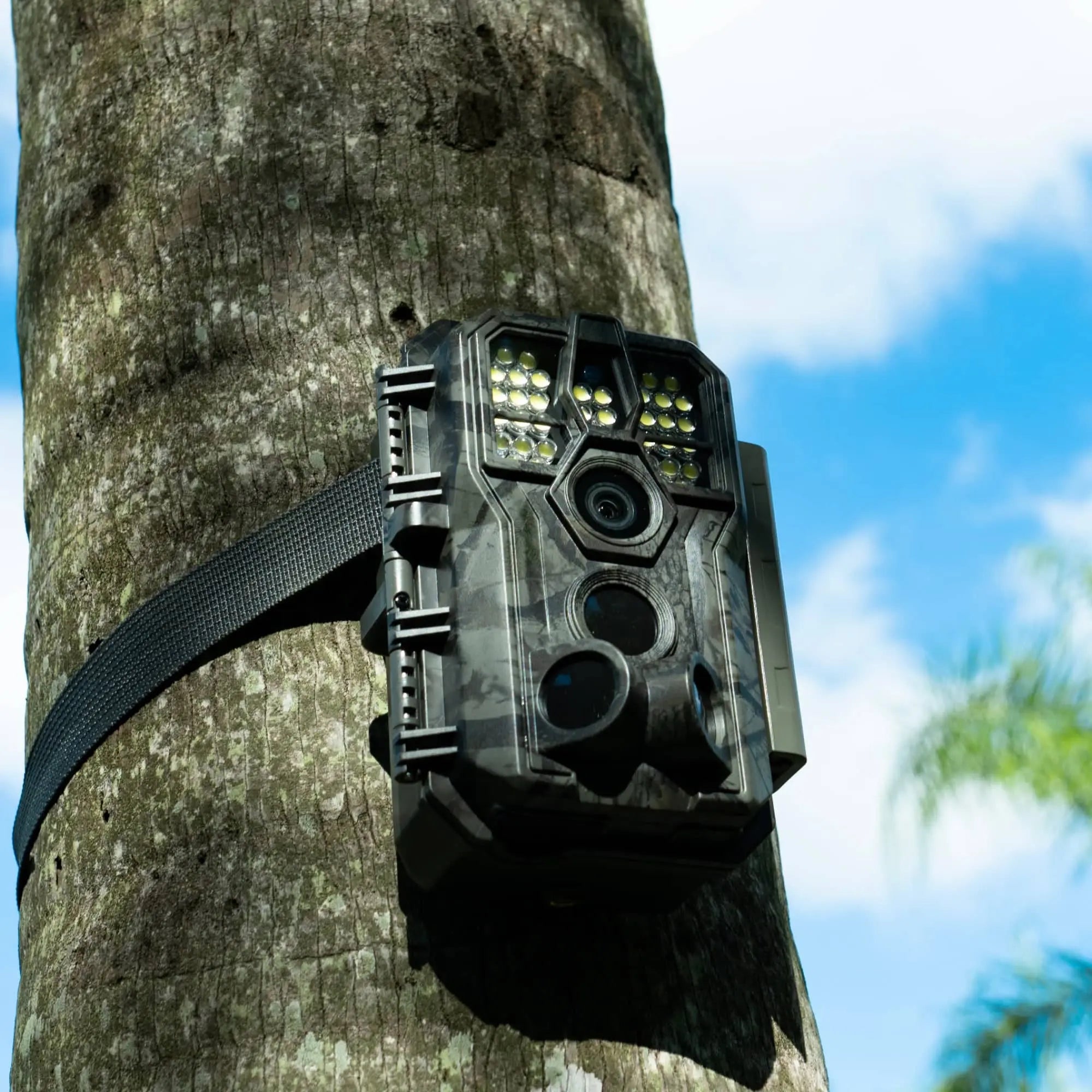 gardepro-a5wf-wildkamera-sony-starvis-sensor-farbnachtsicht-48-mp-1296p image 2