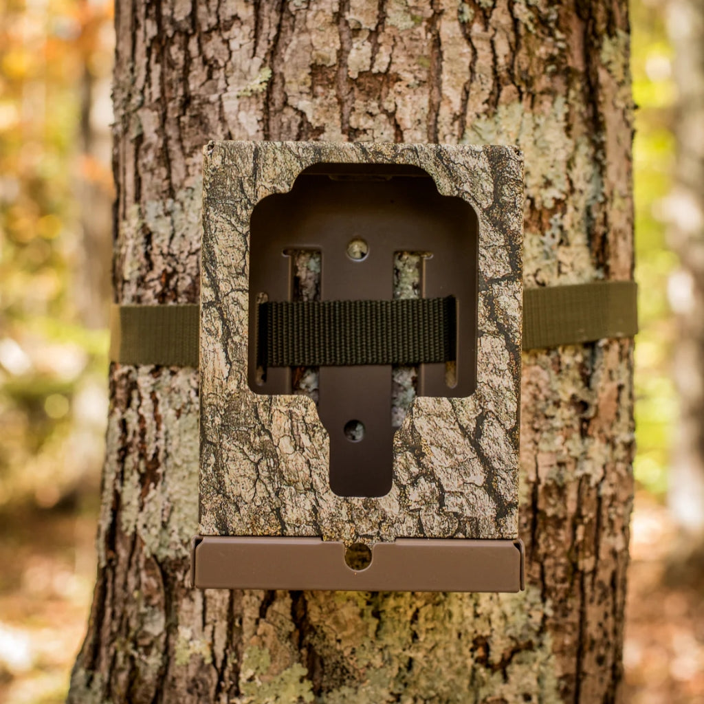 browning-trail-cameras-btc-sb-security-box-stahl-schutzgeh-use image 4
