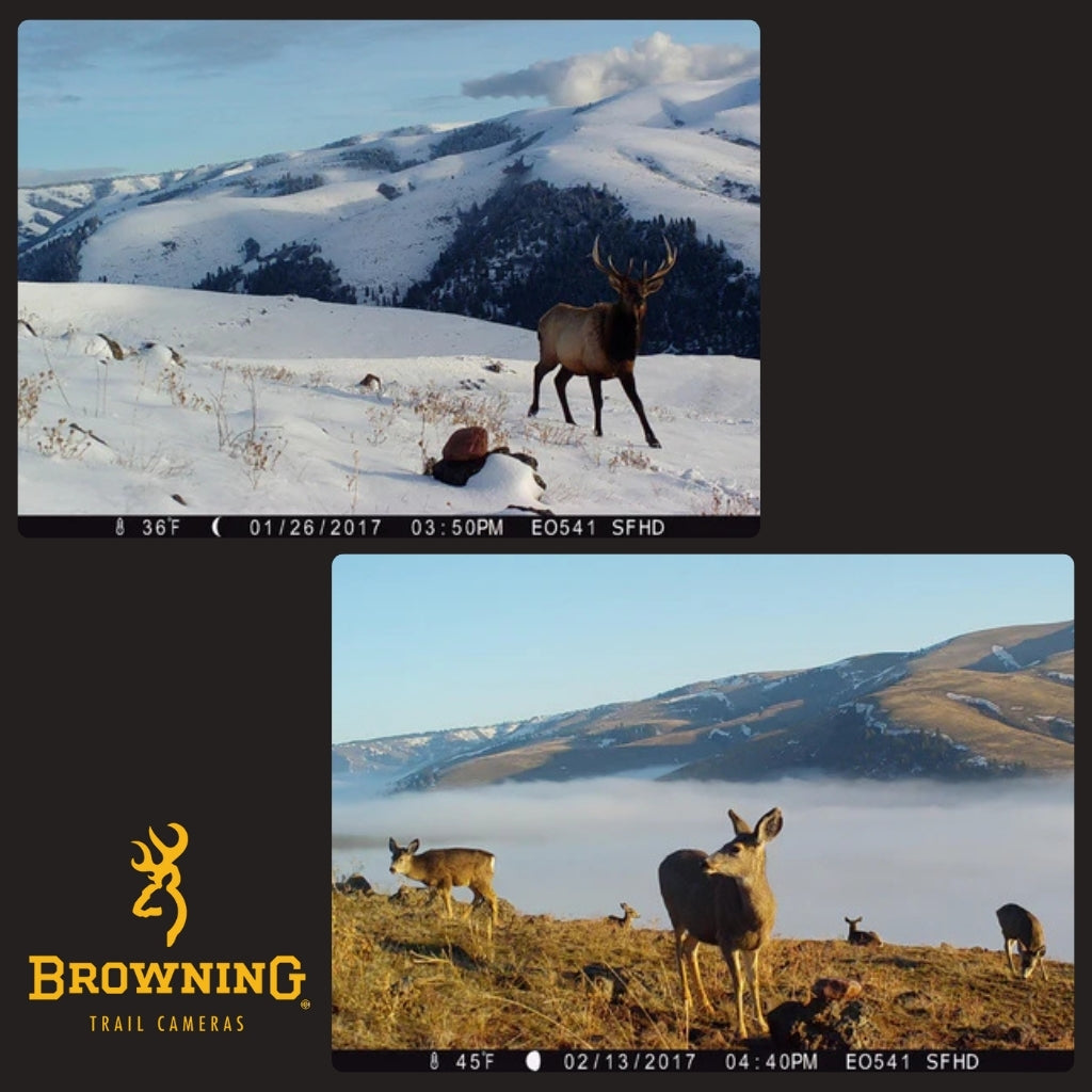 browning-strike-force-pro-x-1080-wildkamera-24mp-mit-1-5-display image 7