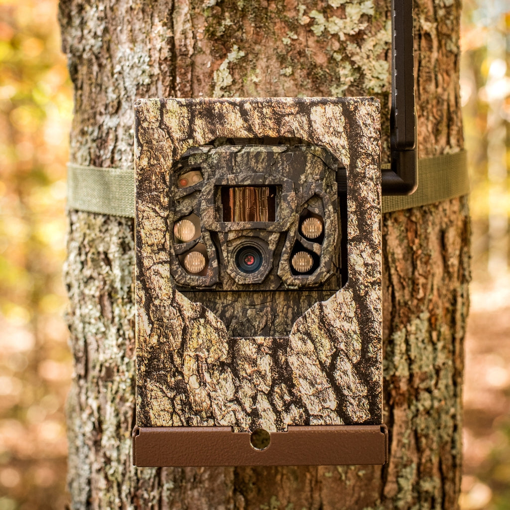 browning-trail-cameras-btc-sb-sm2-security-box-schutzgeh-use image 4