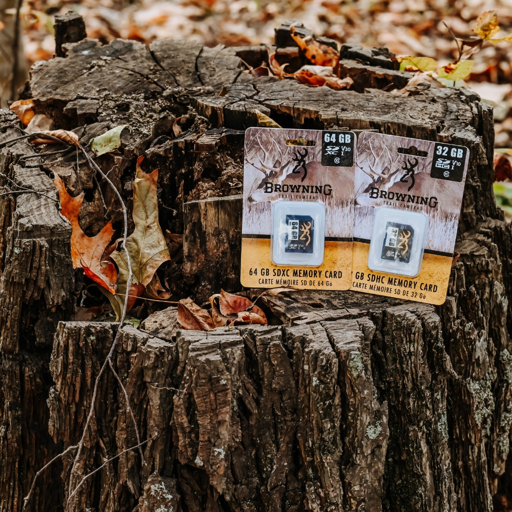 browning-trail-cameras-sd-karte-64gb-class-10 image 4