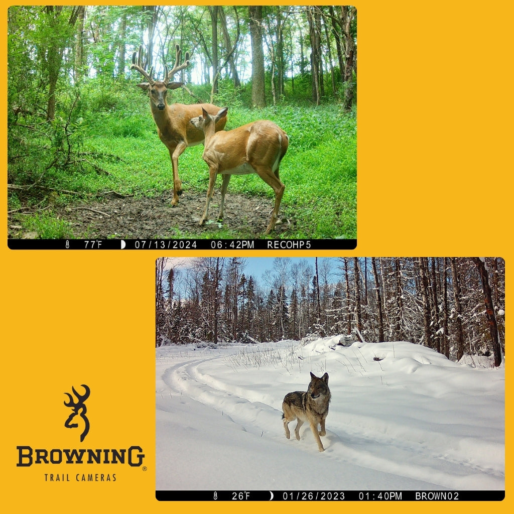 browning-trail-cameras-recon-force-elite-hp5-ultra-wildkamera-46mp image 8