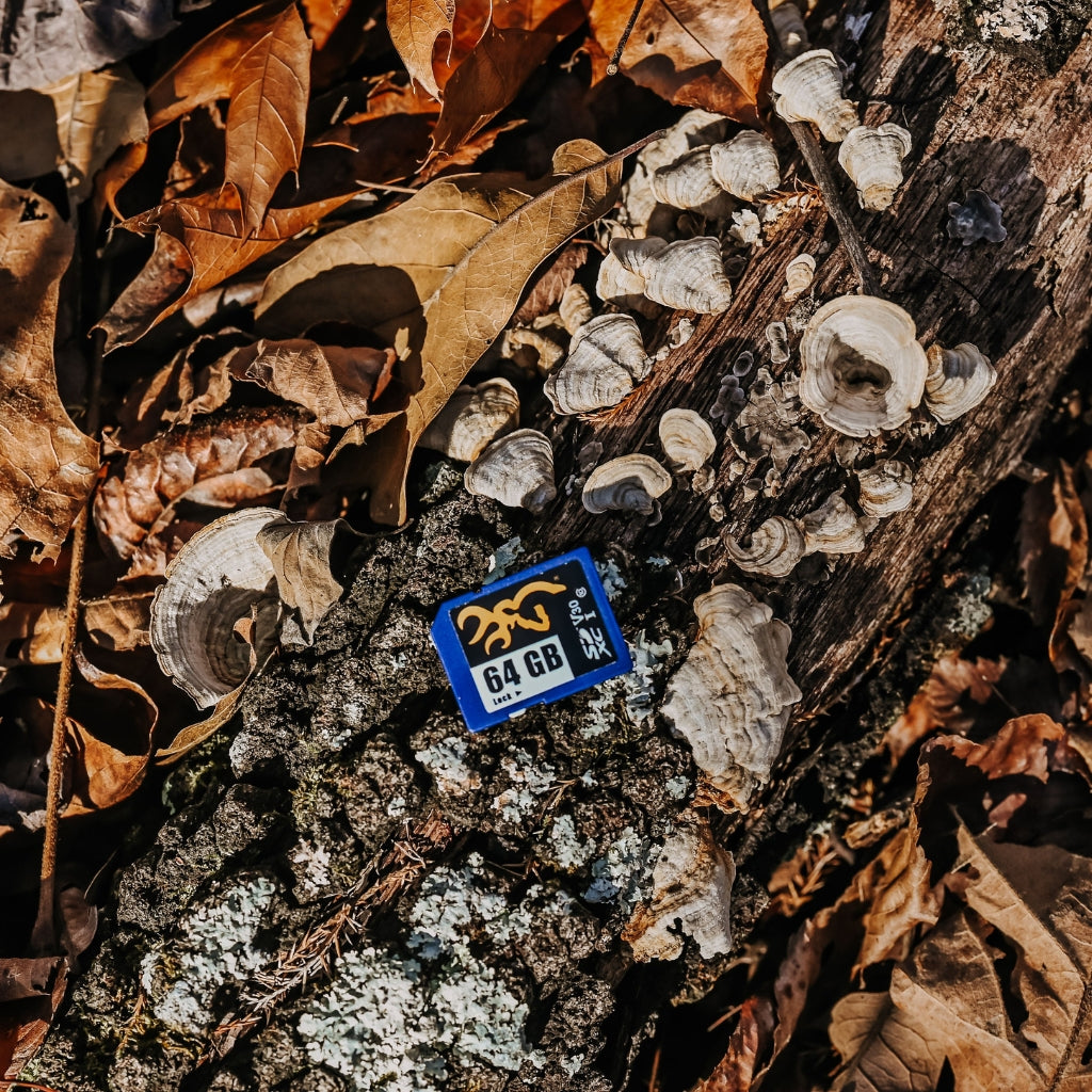 browning-trail-cameras-sd-karte-64gb-class-10 image 5