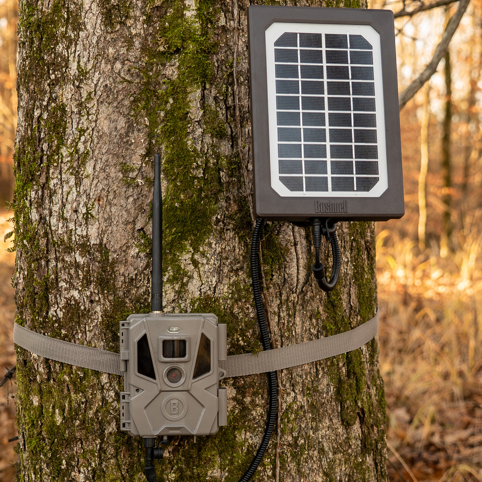 bushnell-wildkamera-solarpanel-mit-halterung-f-r-cellular-und-non-cellular image 2
