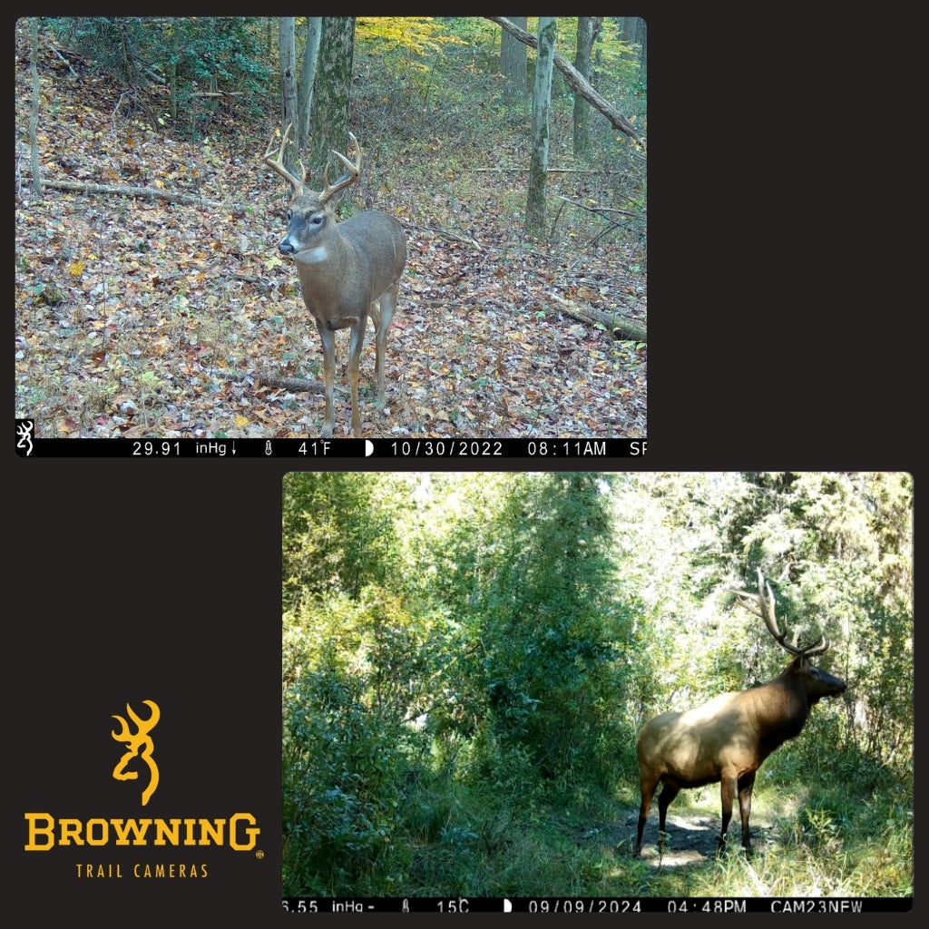 browning-trail-cameras-spec-ops-elite-hp5-ultra-wildkamera image 5