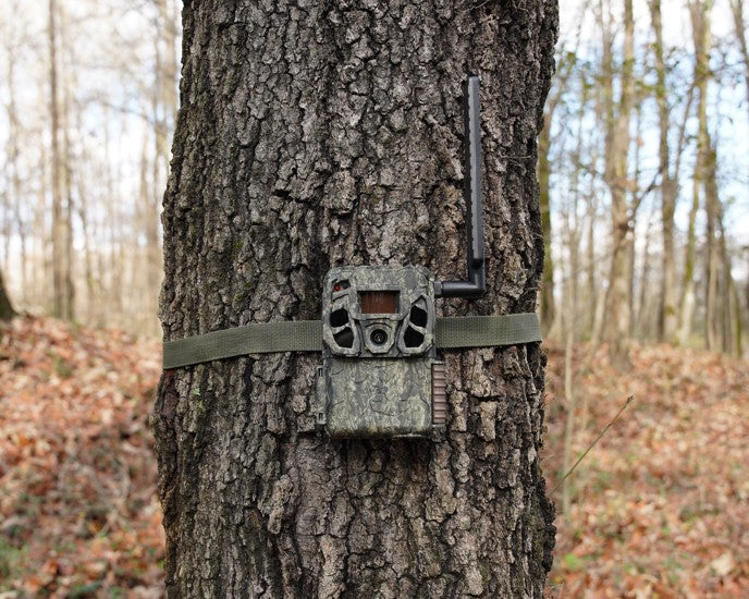 browning-trail-cameras-defender-vision-pro-lsf-wildkamera-mit-livestream image 3
