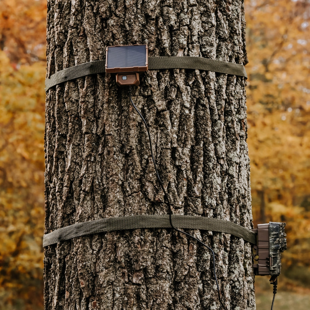browning-trail-cameras-solar-camera-battery-pack-solar-power-pack image 5