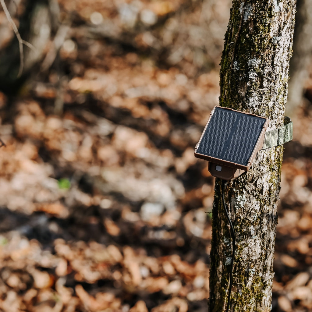 browning-trail-cameras-solar-camera-battery-pack-solar-power-pack image 3