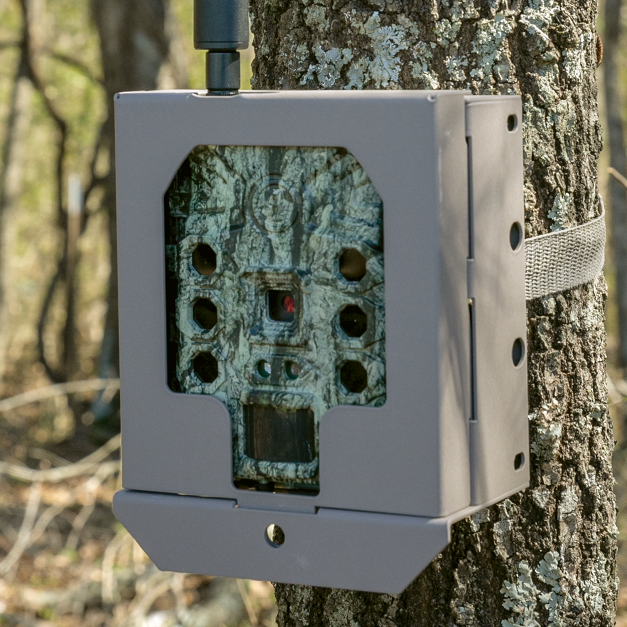 bushnell-trail-camera-sicherheitsbox-core-cellucore image 5