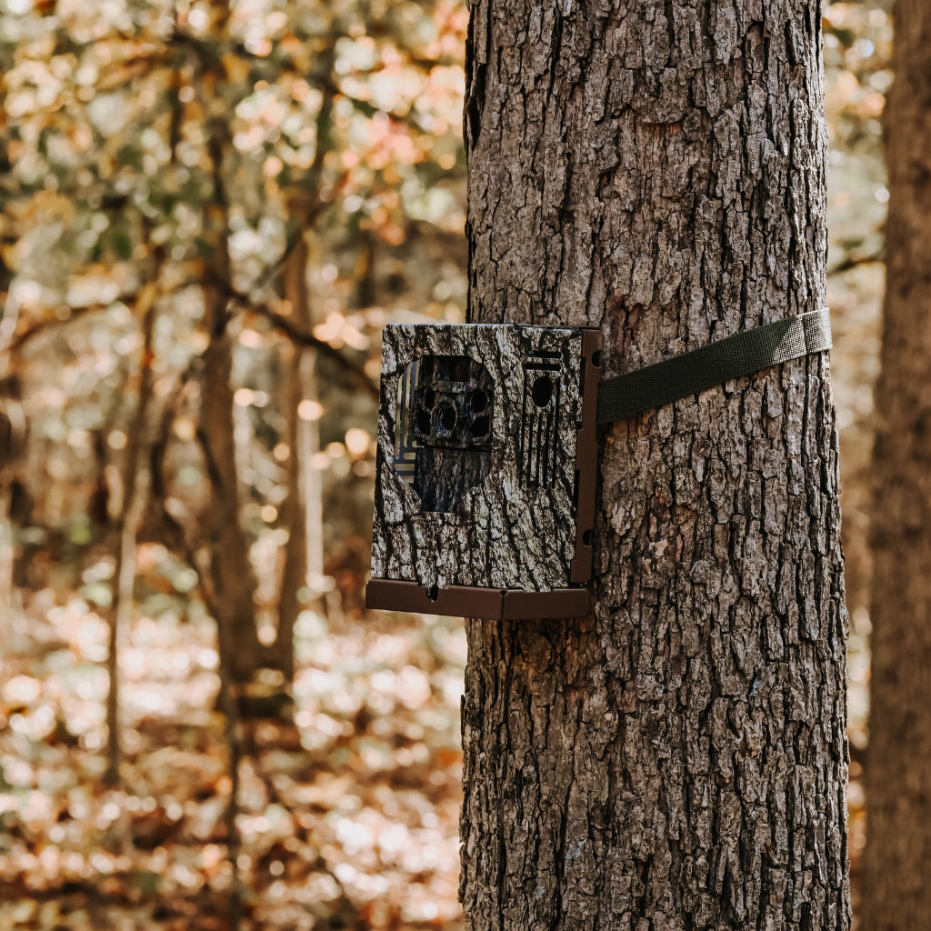 browning-trail-cameras-dark-ops-fhdr40-wildkamera-40mp-no-glow-27m image 2
