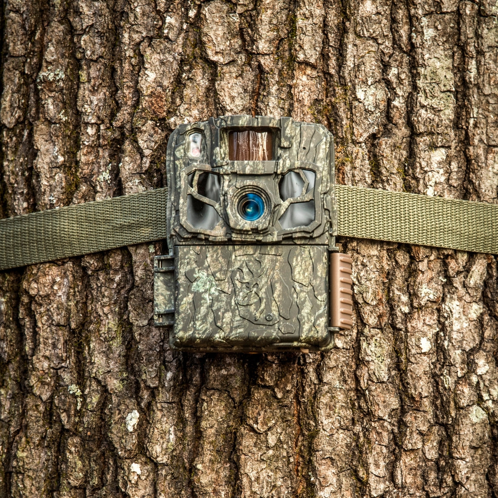 browning-trail-cameras-dark-ops-fhdr40-cp-wildkamera-bundle-40mp-mit-batterien-u image 2