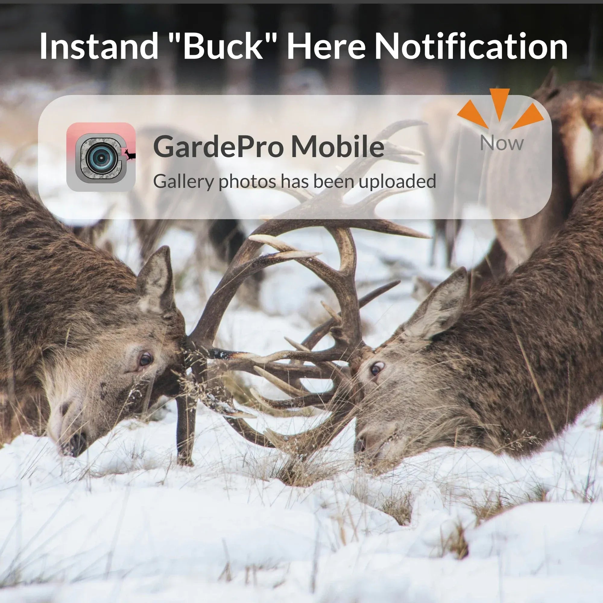gardepro-x60p-live-max-cellular-wildkamera-4g-lte-live-stream-8000-mah-36-ir-led image 2