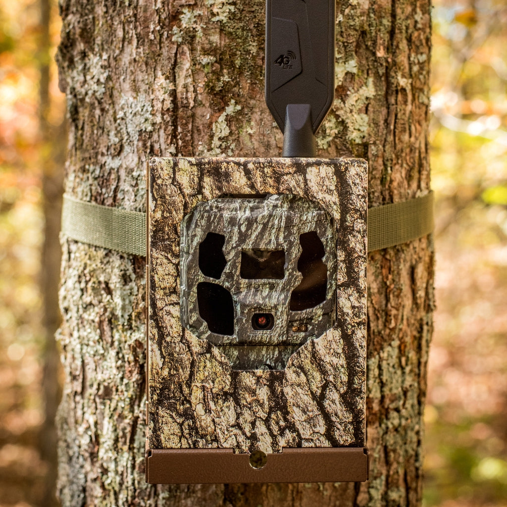 browning-trail-cameras-btc-sb-sm2-security-box-schutzgeh-use image 3