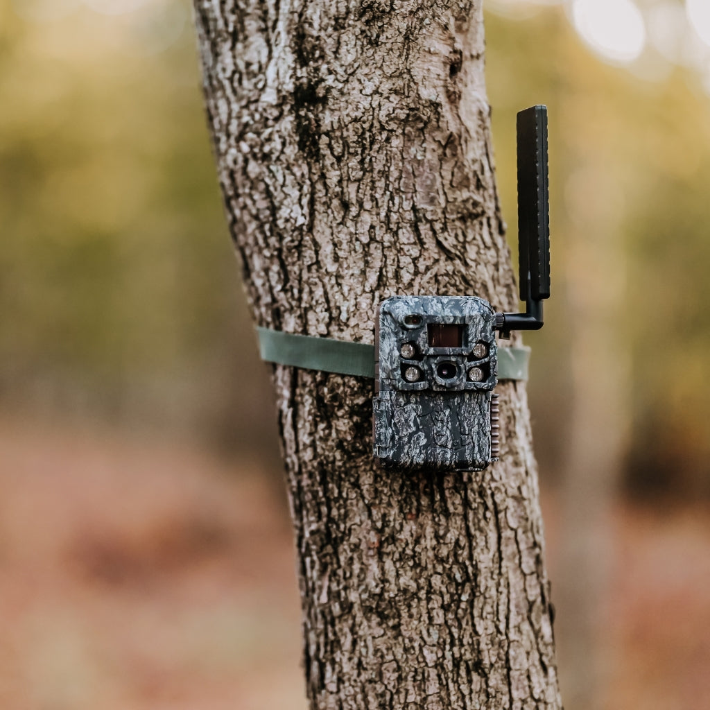 browning-trail-cameras-defender-vision-pro-hd-ai-2er-pack-46-mp-wildkamera-mit-k image 4