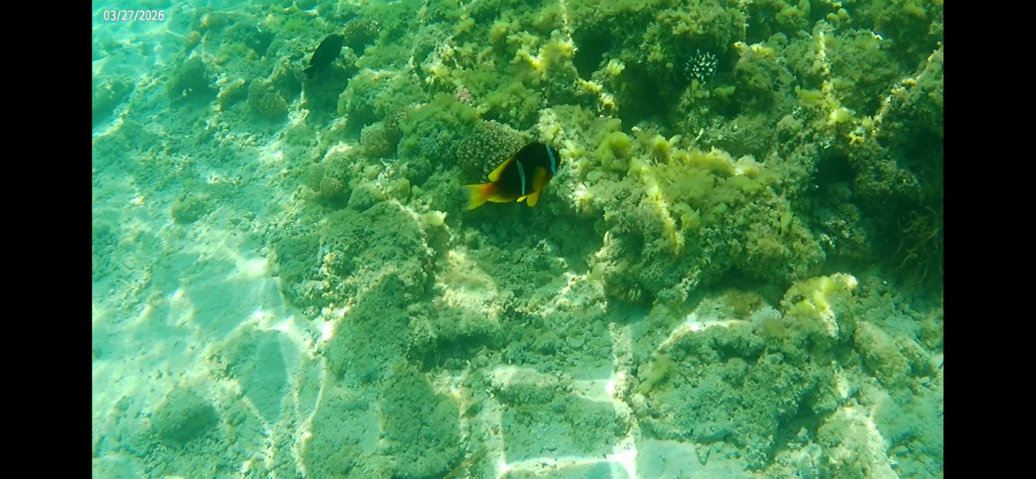 Tolle Actioncam