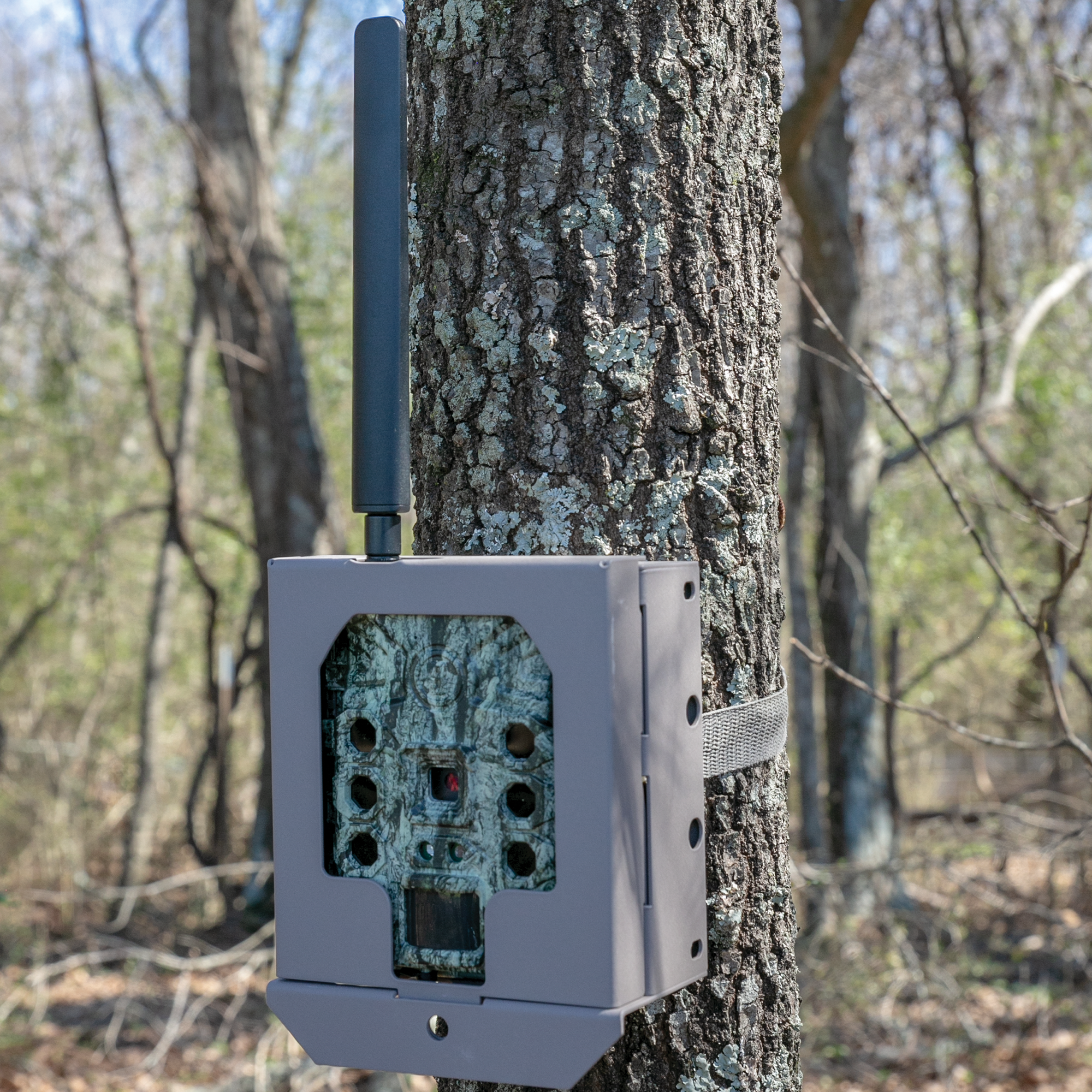 bushnell-trail-camera-sicherheitsbox-core-cellucore image 7