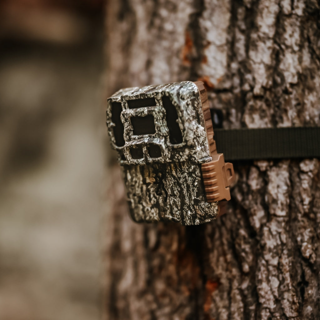 browning-trail-cameras-dark-ops-pro-dcl-nano-wildkamera-4k-dual-lens image 4