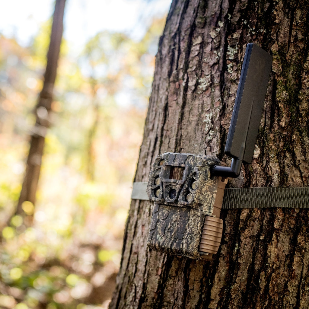 browning-trail-cameras-defender-vision-pro-hd-ai-2er-pack-46-mp-wildkamera-mit-k image 6
