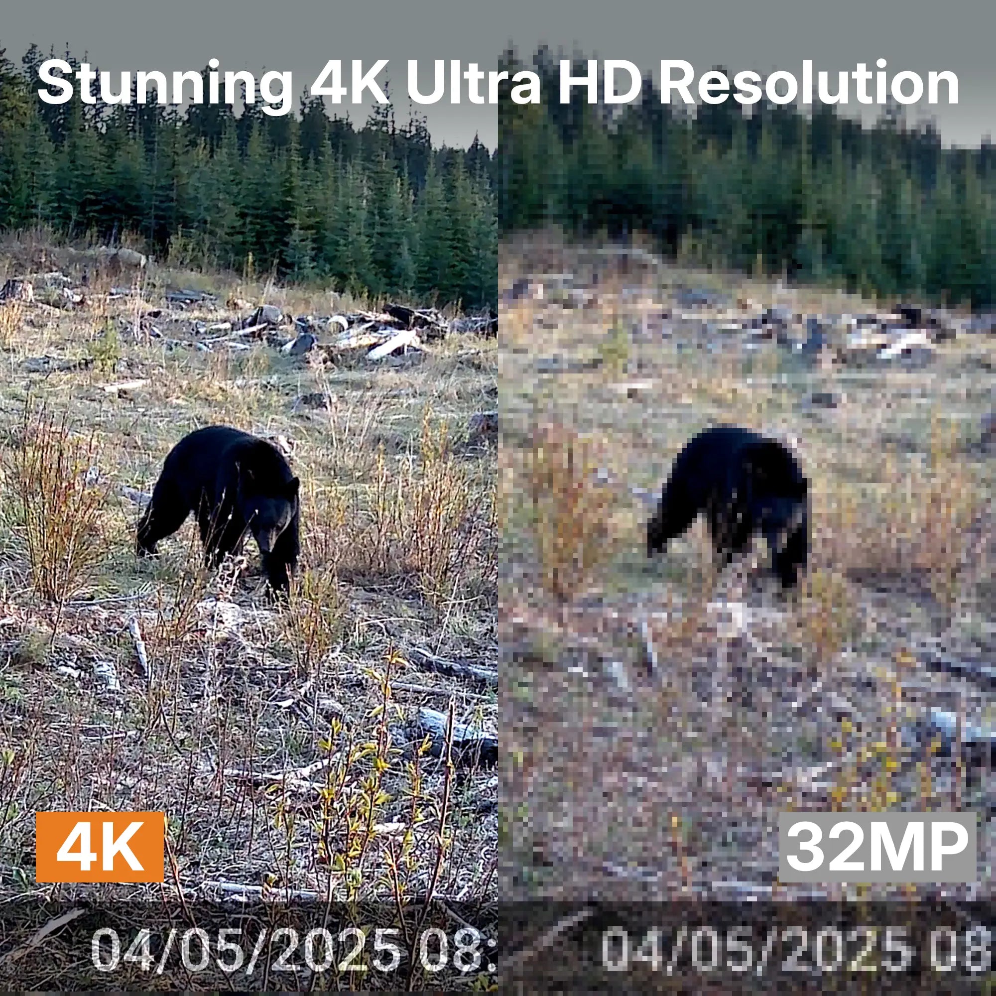 gardepro-e8-2-0-wifi-wildkamera-4k-no-glow-165ft-dual-wlan-nachtsichtkamera image 8