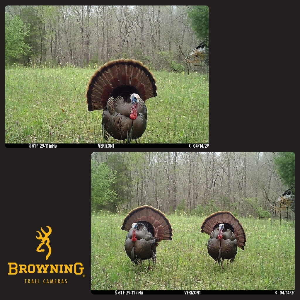 browning-trail-cameras-defender-pro-scout-max-extreme-hd-cellular-wildkamera image 6