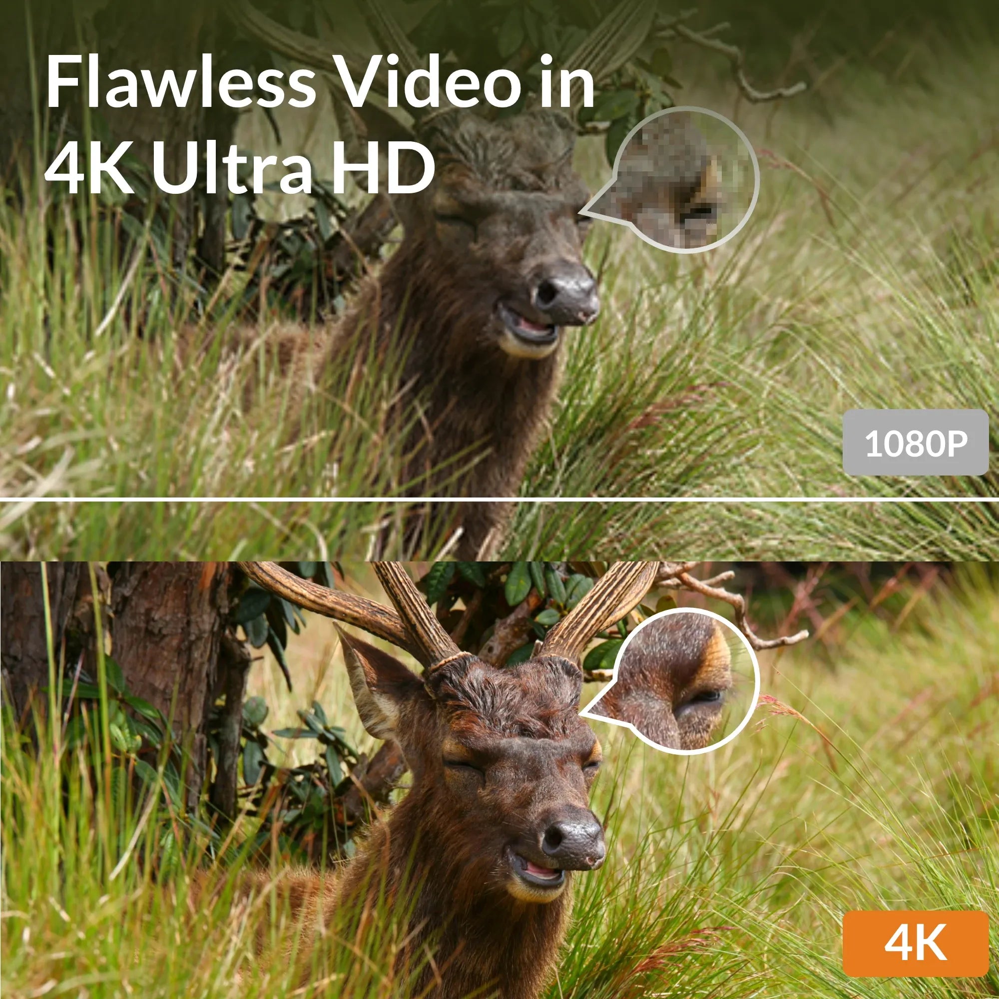 gardepro-a80-wifi-wildkamera-mit-solarpanel-sp350-4k-sony-starvis-no-glow image 7