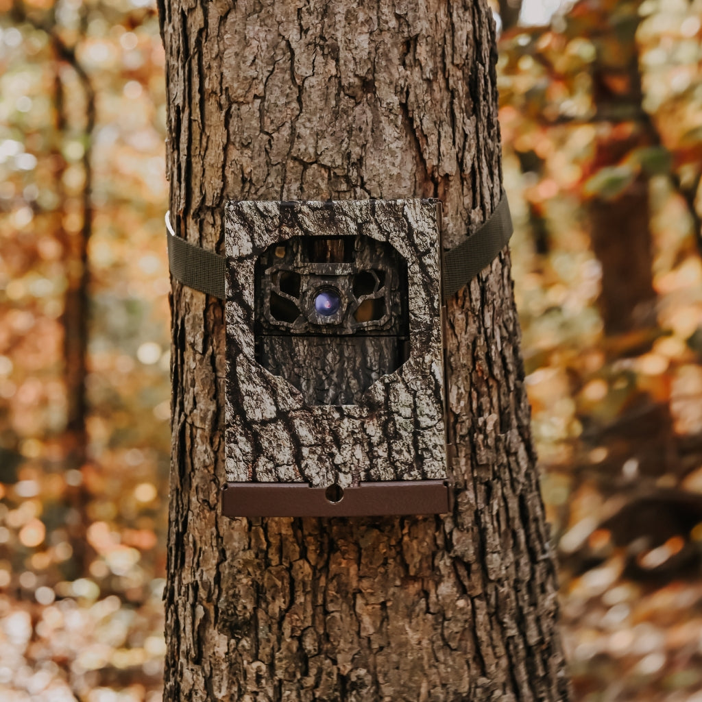 browning-trail-cameras-dark-ops-fhdr40-wildkamera-40mp-no-glow-27m image 3
