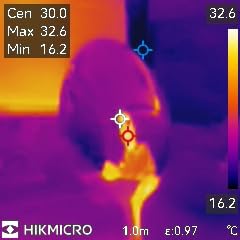 Genau das Richtige für die Hausinspektion
