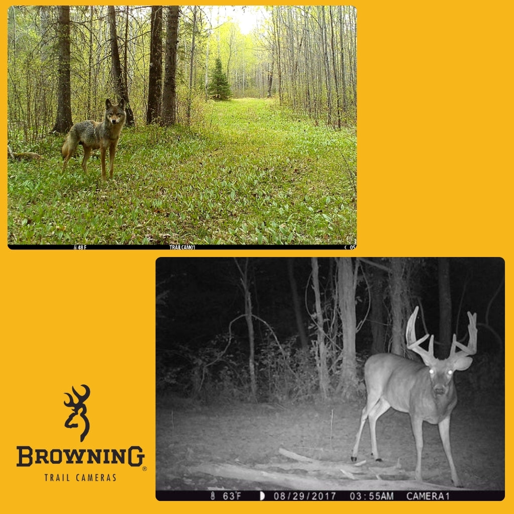 browning-strike-force-pro-x-1080-wildkamera-24mp-mit-1-5-display image 8